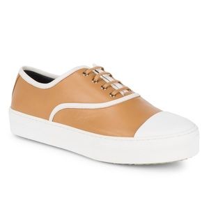 Celine Two Tone Sneakers